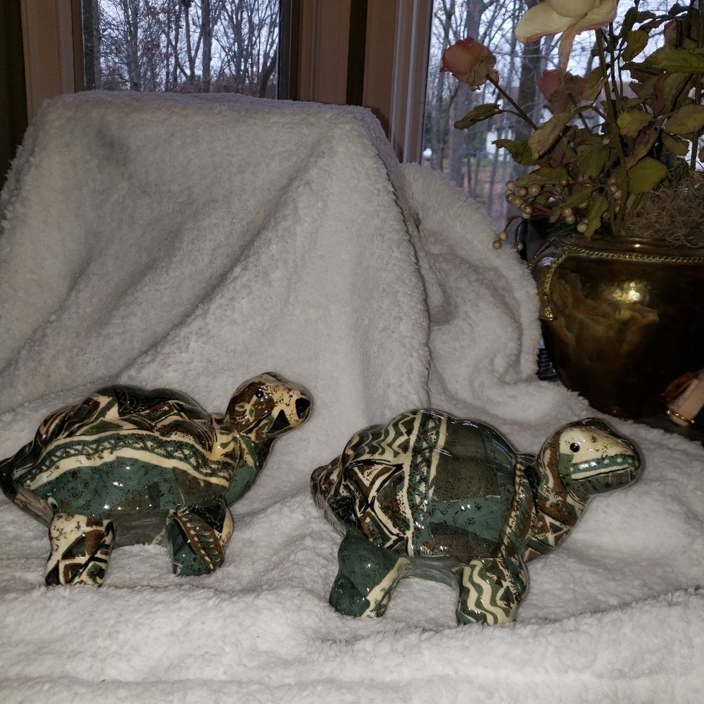 Turtles   - Picture 5 of 7